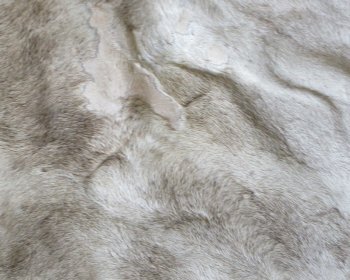 Small Authentic African Giraffe Hide Rug - Hand-Selected Statement Piece - $1600 (Adult Signature Required)