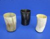 Wholesale Polished Buffalo Horn Glass measuring 4" tall.  You are buying a buffalo horn glass similar to the ones pictured - Packed: 2 pcs @ $6.50 each; Packed: 20 pcs @ $5.75 each