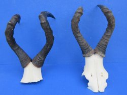 Wholesale Female Re...
