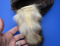 Wholesale Adult faux fur Davy Crockett hat with a real raccoon tail - 2 pcs @ $12.50 each; 8 pcs @ $10.75 each
