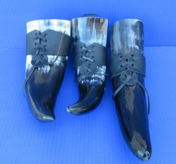 16 to 18 inch Wholesale Polished Buffalo Hanging drinking horn with horn holster - 2 pcs @ $15.50 each; 10 pcs @ $13.95 each
