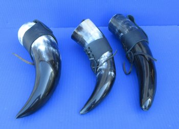 16 to 18 inch Wholesale Polished Buffalo Hanging drinking horn with horn holster - 2 pcs @ $15.50 each; 10 pcs @ $13.95 each
