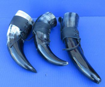 12 to 15 inch Wholesale Polished Buffalo Hanging drinking horn with horn holster - 2 pcs @ $11.50 each; 12 pcs @ $10.35 each