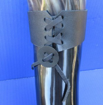 20 to 24 inch Wholesale Polished Buffalo Hanging drinking horn with horn holster - 2 pcs @ $20.00 each; 8 pcs @ 18.00 each