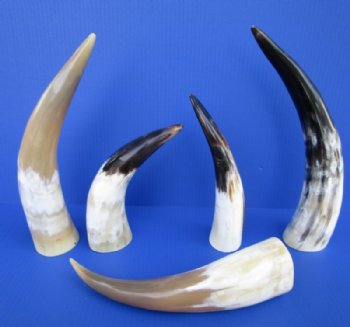 Animal Horns, Antlers