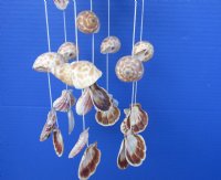 21 inch Wholesale seashell wind chime with pecten, chula and babylonia shells - Case of 25 pcs @ $2.45 each
