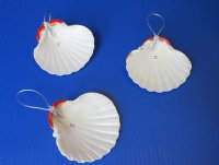 Santa Seashell Christmas Ornaments 4 inch - 10 pcs @ $1.90 each; 30 pcs @ $1.70 each
