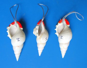 3-1/2"  to 4-1/2" Tibia Shell Santa ornament - 10 pcs @ $1.70; 30 pcs @ $1.50 each