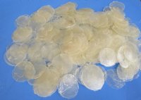Wholesale Mixed Capiz Shells in bulk 2 inches to 3-1/2 inches - 1 kilo bag @ $4.00 kilo 