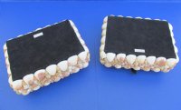 Large 2 Pecten shell design in assorted colors rectangle shell Jewelry Box Wholesale - 2 pcs @ $10.65 each; 6 pcs @ $9.59 each