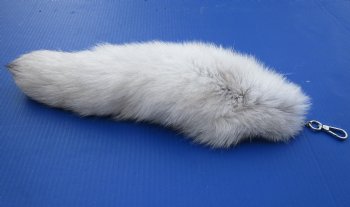 Wholesale Tanned Blue Fox tails with silver colored lobster clasp key chain 13 to 14 inches long -  2 pcs @ $12.00 each; 8 pcs @ $11.00 each