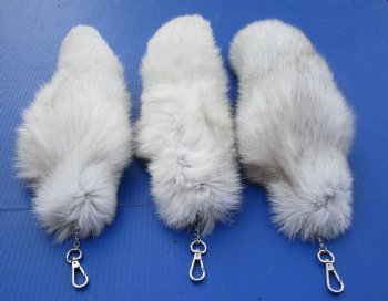 Wholesale Tanned Blue Fox tails with silver colored lobster clasp key chain 13 to 14 inches long -  2 pcs @ $12.00 each; 8 pcs @ $11.00 each