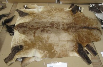 B-Grade Red Hartebeest Skin Rug, red hartebeest Hide - (1 pc)
