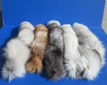 Indigo Fox tails 21 to 25 inches - 2 pc $19.50 each; 8 pc $ 17.50 each