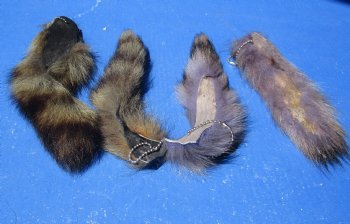 Dyed Raccoon tails 5 to 9 inch (5 pc, 20 pc)