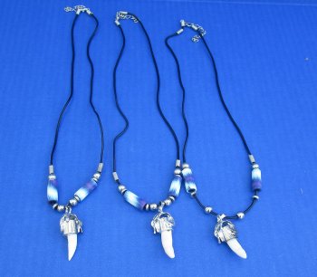 1/2 to 1-1/2 inch Alligator Tooth Necklaces (3 pc, 12 pc)
