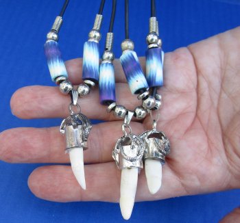 1/2 to 1-1/2 inch Alligator Tooth Necklaces (3 pc, 12 pc)
