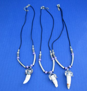 1/2 to 1-1/2 inch Alligator Tooth Necklace (3 pc, 12 pc)
