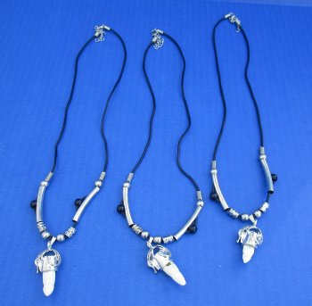 1/2 to 1-1/2 inch Alligator Tooth Necklace (3 pc, 12 pc)