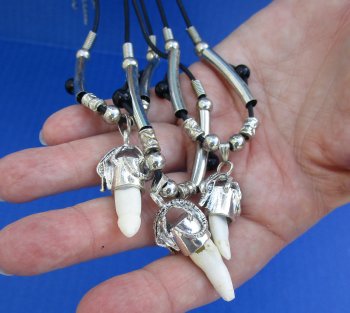 1/2 to 1-1/2 inch Alligator Tooth Necklace (3 pc, 12 pc)