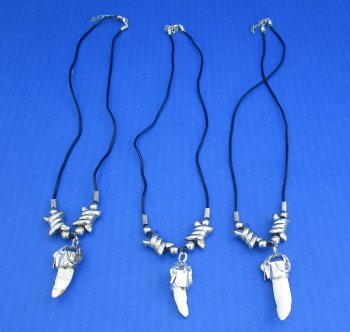 1/2 to 1-1/2 inch Alligator Tooth Necklaces (3 pc, 12 pc)