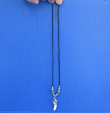 1/2 to 1-1/2 inch Alligator Tooth Necklaces (3 pc, 12 pc)