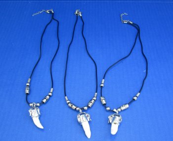 1/2 to 1-1/2 inch Alligator Tooth Necklaces (3 pc, 12 pc)