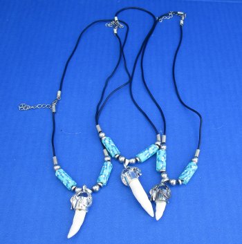 1/2 to 1-1/2 inch Alligator Tooth Necklaces (3 pc, 12 pc)