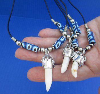 1/2 to 1-1/2 inch Alligator Tooth Necklaces (3 pc, 12 pc)