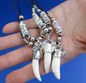 1/2 to 1-1/2 inch Alligator Tooth Necklaces (3 pc, 12 pc) 