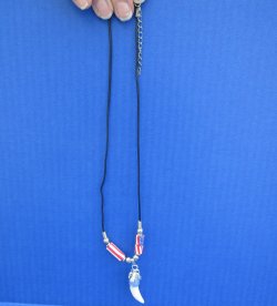 1/2 to 1-1/2 inch Alligator Tooth Necklaces (3 pc, 12 pc)