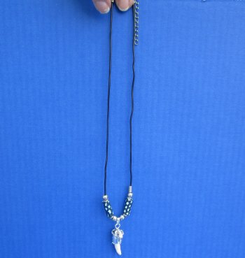 1/2 to 1-1/2 inch Alligator Tooth Necklaces (3 pc, 12 pc)