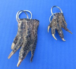 Authentic Real Alligator Foot Keychains Wholesale - 10 pcs @ $2.90 each: 50 pcs @ $2.60 each