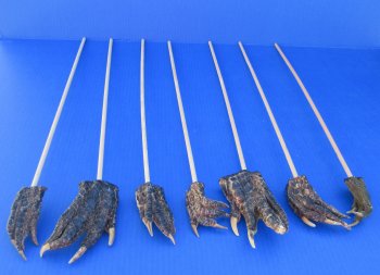 Upgrade your itch relief with an Authentic Alligator Foot Back Scratcher - 12 pcs @ $4.00 each; 36 pcs @ $3.60 each