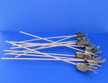 Upgrade your itch relief with an Authentic Alligator Foot Back Scratcher - 12 pcs @ $4.00 each; 36 pcs @ $3.60 each