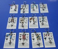 Wholesale Key ring with assorted fossil shark tooth and assorted beads with Fossil tooth identification card - Packed: 12 pcs @ $2.15 each; Packed: 48 pcs @ $1.95 each