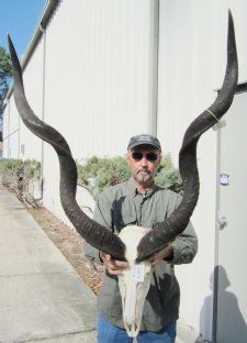 Kudu Skull, Kudu Skulls 