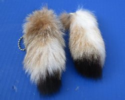 Wholesale Tanned Canadian Lynx tails, 3-1/2 to 4-1/2 inches long. 2 pcs @ $8.50 each; 8 pcs @ $7.75 each