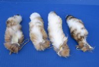 Wholesale Tanned Lynx tails 6 to 8 inches long - 2 pcs @ $8.50 each; 8 pcs @ $7.75 each