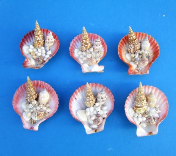 Pecten Nobilis Shell Magnets 2" to 3" - 10 pcs @ $1.00 each; 50 pcs @ $.90 each