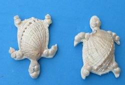 3-3/4 inch Pearl Abalone Shell Turtle Magnet - 10 pcs @ $1.50 each; 50 pcs @ $1.35 each