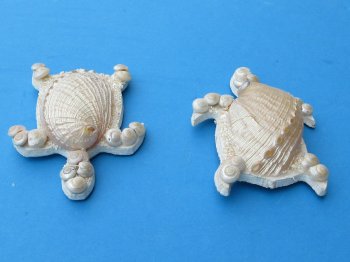 3-3/4 inch Pearl Abalone Shell Turtle Magnet - 10 pcs @ $1.50 each; 50 pcs @ $1.35 each