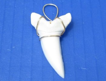 Wholesale Mako Tooth Pendent wrapped with gold color wire 1-3/4 inch - 2 pcs @ $12.00 each
