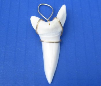 Wholesale Mako Tooth Pendent wrapped with gold color wire 2-1/8 inch - $32.00 each; 4 pcs @ $28.00 each