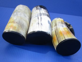 Wholesale 6 inch Carved Viking Buffalo horn mugs with 4 horizontal lines - $22 each; 8 pcs @ $19.80 each