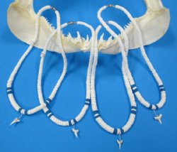 Wholesale White Puka Shell Necklaces with Blue Coconut Beads and Shark Tooth pendants 18 inches - $42.00 dozen; 5 dozen @ $37.80 dozen