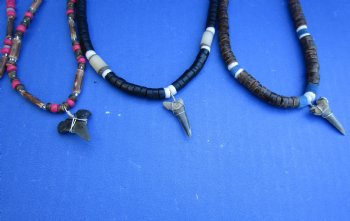 Wholesale Fossil Mako Shark tooth necklace 1 to 1-1/2 inch - 2 pc @ $7.25 each; 8 pcs @ $6.50 each