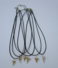 Wholesale Assorted light colored fossil shark tooth on 18" black cord necklace - 6 pcs @ $2.00 each; 24 pcs @ $1.75 each