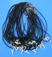Wholesale Assorted white colored shark tooth on 18" black cord necklace. 5 pcs @ $2.00 each; 25 pcs @ $1.75 each