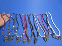 Wholesale Megalodon Shark tooth necklace 1 to 2 inch wrapped with silver colored wire on an assorted color coconut bead necklace - Packed: 2 pcs @ $19.00 each; Packed: 8 pcs @ $17.00 each